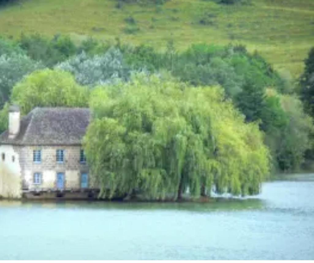 En Toute Quietude Lissac-sur-Couze Zewnętrze zdjęcie