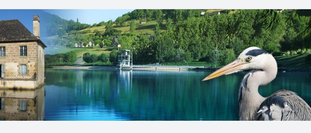 En Toute Quietude Lissac-sur-Couze Zewnętrze zdjęcie